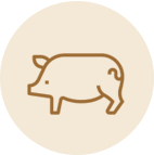 Porcs fermiers