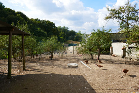 EARL Marquet : La ferme