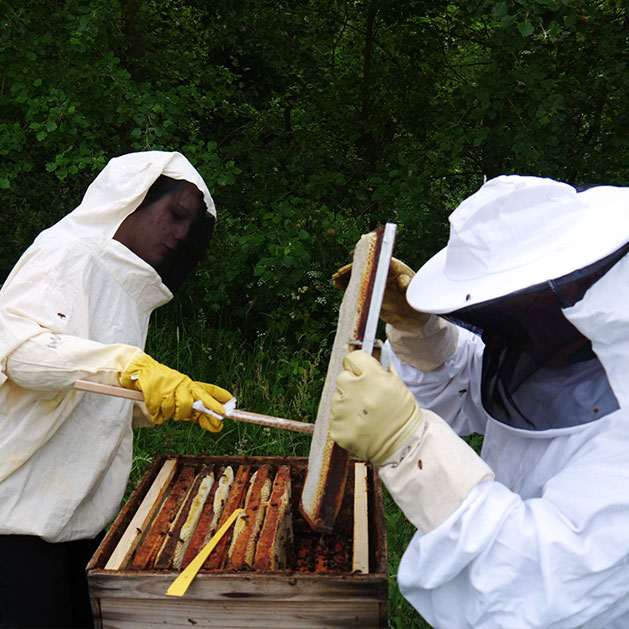 Produits fermiers à Montaigu dans l’Aisne (02)